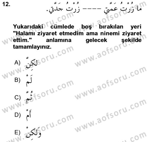 Arapça 3 Dersi 2023 - 2024 Yılı (Final) Dönem Sonu Sınav Soruları 12. Soru
