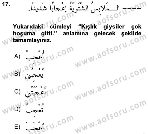 Arapça 3 Dersi 2023 - 2024 Yılı (Final) Dönem Sonu Sınav Soruları 17. Soru