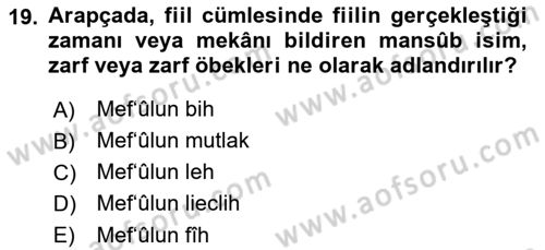 Arapça 3 Dersi 2023 - 2024 Yılı (Final) Dönem Sonu Sınav Soruları 19. Soru