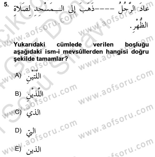 Arapça 3 Dersi 2023 - 2024 Yılı (Final) Dönem Sonu Sınav Soruları 5. Soru