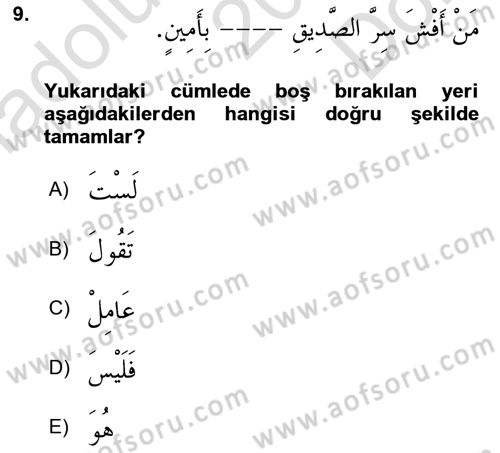 Arapça 3 Dersi 2023 - 2024 Yılı (Final) Dönem Sonu Sınav Soruları 9. Soru
