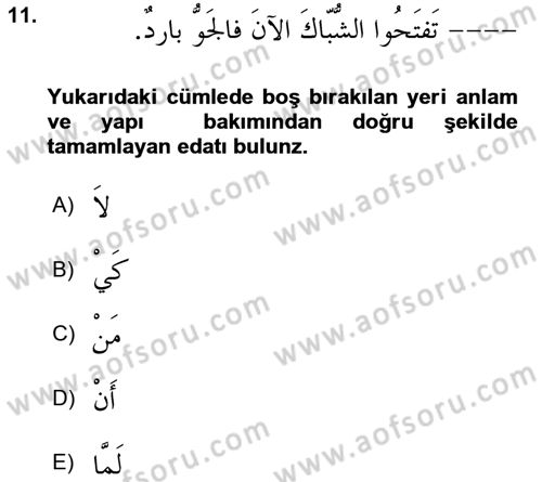 Arapça 3 Dersi 2023 - 2024 Yılı Yaz Okulu Sınav Soruları 11. Soru