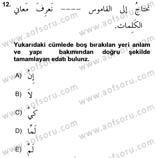Arapça 3 Dersi 2023 - 2024 Yılı Yaz Okulu Sınav Soruları 12. Soru