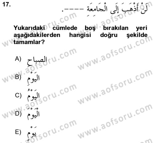 Arapça 3 Dersi 2023 - 2024 Yılı Yaz Okulu Sınav Soruları 17. Soru