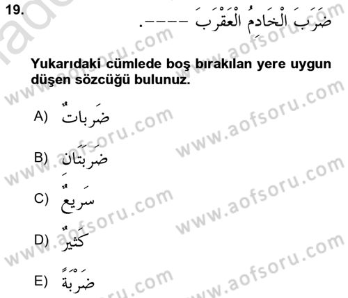 Arapça 3 Dersi 2023 - 2024 Yılı Yaz Okulu Sınav Soruları 19. Soru