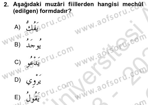 Arapça 3 Dersi 2023 - 2024 Yılı Yaz Okulu Sınav Soruları 2. Soru