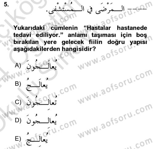 Arapça 3 Dersi 2023 - 2024 Yılı Yaz Okulu Sınav Soruları 5. Soru