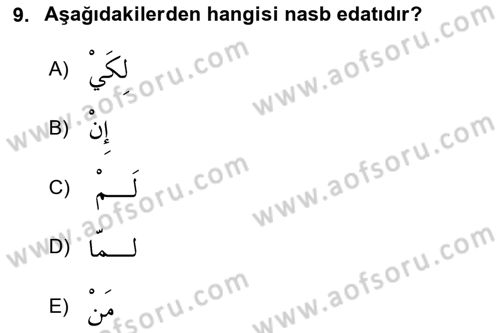 Arapça 3 Dersi 2023 - 2024 Yılı Yaz Okulu Sınav Soruları 9. Soru