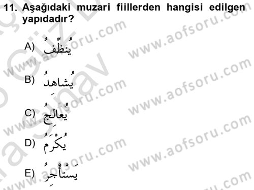 Arapça 3 Dersi 2024 - 2025 Yılı (Vize) Ara Sınav Soruları 11. Soru