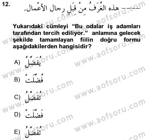 Arapça 3 Dersi 2024 - 2025 Yılı (Vize) Ara Sınav Soruları 12. Soru