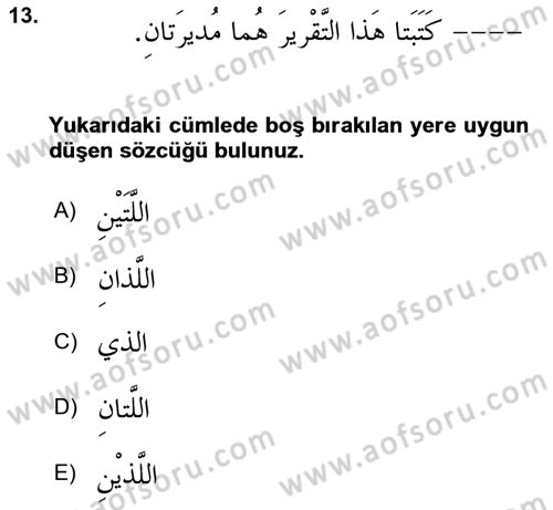 Arapça 3 Dersi 2024 - 2025 Yılı (Vize) Ara Sınav Soruları 13. Soru