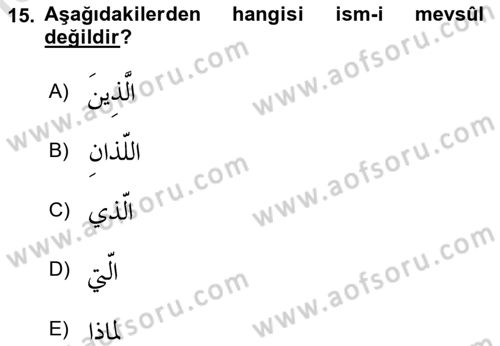 Arapça 3 Dersi 2024 - 2025 Yılı (Vize) Ara Sınav Soruları 15. Soru