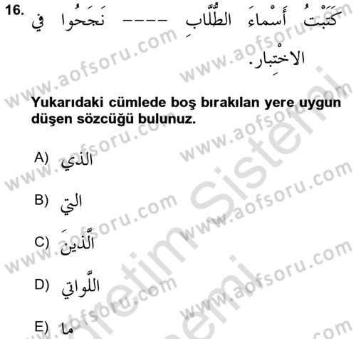 Arapça 3 Dersi 2024 - 2025 Yılı (Vize) Ara Sınav Soruları 16. Soru