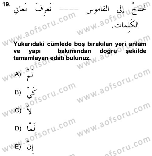 Arapça 3 Dersi 2024 - 2025 Yılı (Vize) Ara Sınav Soruları 19. Soru