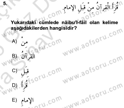 Arapça 3 Dersi 2024 - 2025 Yılı (Vize) Ara Sınav Soruları 5. Soru
