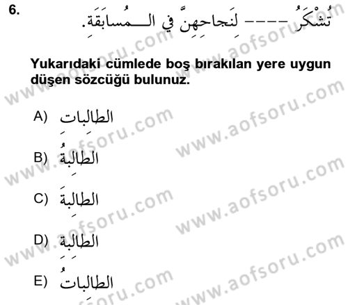 Arapça 3 Dersi 2024 - 2025 Yılı (Vize) Ara Sınav Soruları 6. Soru