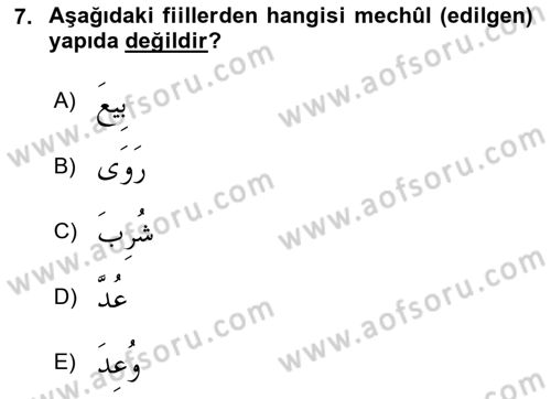 Arapça 3 Dersi 2024 - 2025 Yılı (Vize) Ara Sınav Soruları 7. Soru