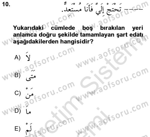 Arapça 3 Dersi 2024 - 2025 Yılı (Final) Dönem Sonu Sınav Soruları 10. Soru
