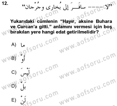 Arapça 3 Dersi 2024 - 2025 Yılı (Final) Dönem Sonu Sınav Soruları 12. Soru