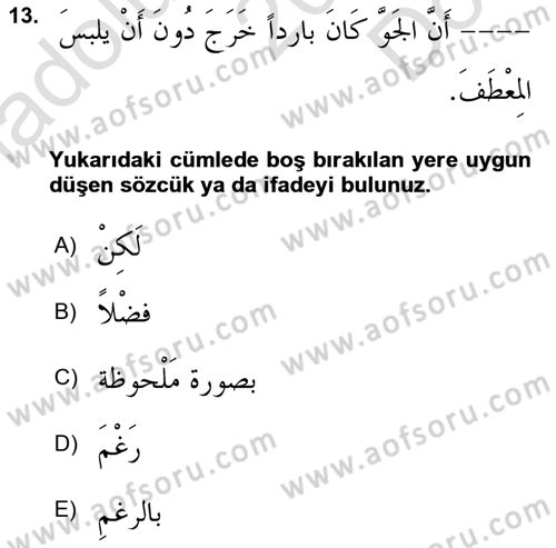 Arapça 3 Dersi 2024 - 2025 Yılı (Final) Dönem Sonu Sınav Soruları 13. Soru