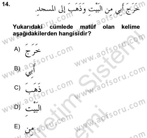 Arapça 3 Dersi 2024 - 2025 Yılı (Final) Dönem Sonu Sınav Soruları 14. Soru