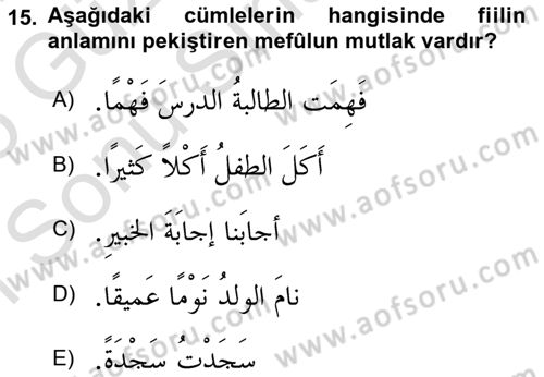 Arapça 3 Dersi 2024 - 2025 Yılı (Final) Dönem Sonu Sınav Soruları 15. Soru