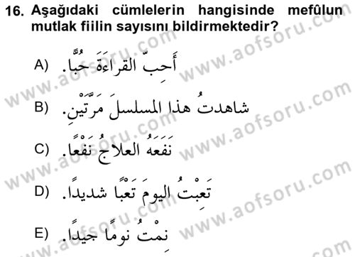 Arapça 3 Dersi 2024 - 2025 Yılı (Final) Dönem Sonu Sınav Soruları 16. Soru