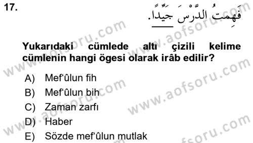 Arapça 3 Dersi 2024 - 2025 Yılı (Final) Dönem Sonu Sınav Soruları 17. Soru