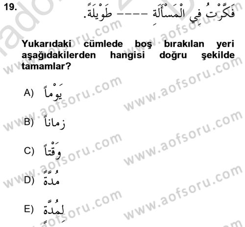 Arapça 3 Dersi 2024 - 2025 Yılı (Final) Dönem Sonu Sınav Soruları 19. Soru