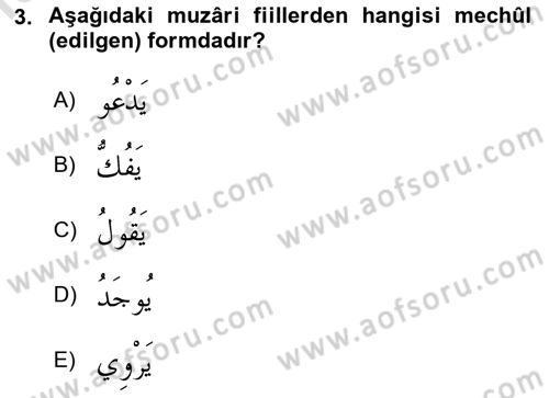 Arapça 3 Dersi 2024 - 2025 Yılı (Final) Dönem Sonu Sınav Soruları 3. Soru