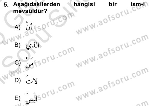 Arapça 3 Dersi 2024 - 2025 Yılı (Final) Dönem Sonu Sınav Soruları 5. Soru