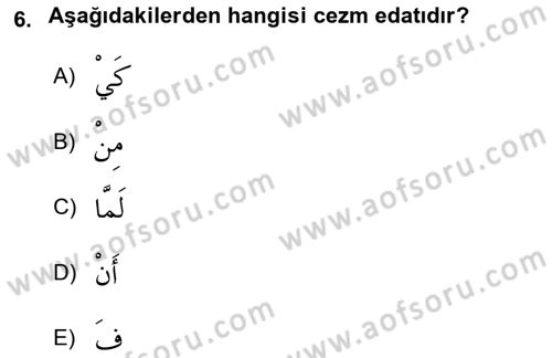 Arapça 3 Dersi 2024 - 2025 Yılı (Final) Dönem Sonu Sınav Soruları 6. Soru