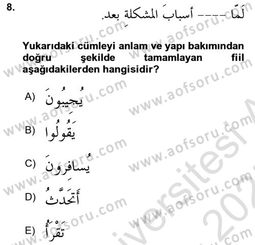 Arapça 3 Dersi 2024 - 2025 Yılı (Final) Dönem Sonu Sınav Soruları 8. Soru