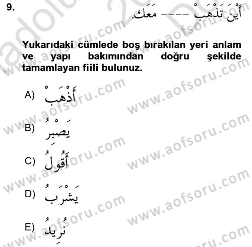 Arapça 3 Dersi 2024 - 2025 Yılı (Final) Dönem Sonu Sınav Soruları 9. Soru