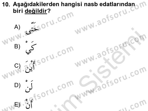 Arapça 3 Dersi 2024 - 2025 Yılı Yaz Okulu Sınav Soruları 10. Soru