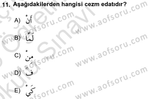 Arapça 3 Dersi 2024 - 2025 Yılı Yaz Okulu Sınav Soruları 11. Soru