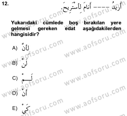 Arapça 3 Dersi 2024 - 2025 Yılı Yaz Okulu Sınav Soruları 12. Soru