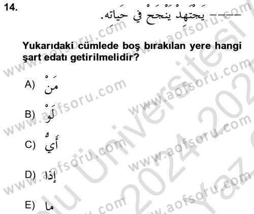 Arapça 3 Dersi 2024 - 2025 Yılı Yaz Okulu Sınav Soruları 14. Soru