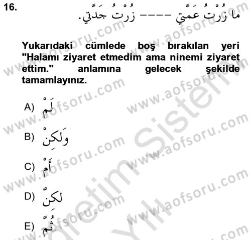 Arapça 3 Dersi 2024 - 2025 Yılı Yaz Okulu Sınav Soruları 16. Soru