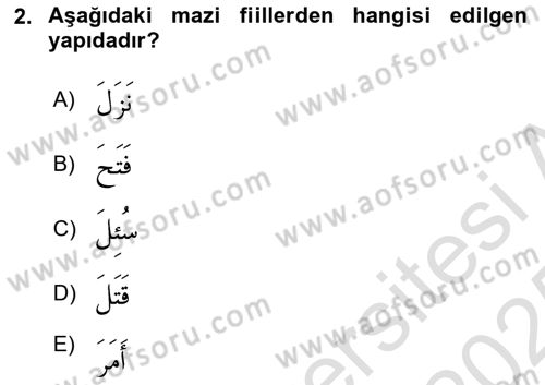 Arapça 3 Dersi 2024 - 2025 Yılı Yaz Okulu Sınav Soruları 2. Soru