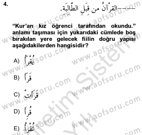Arapça 3 Dersi 2024 - 2025 Yılı Yaz Okulu Sınav Soruları 4. Soru