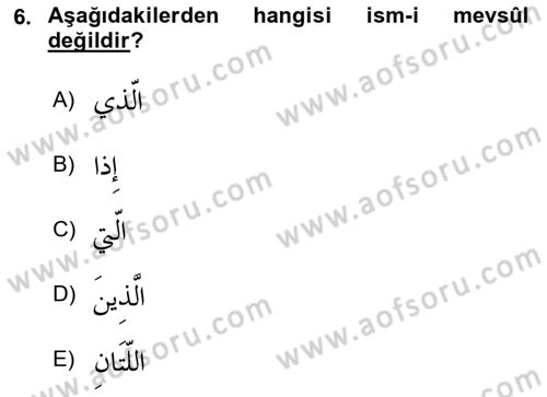 Arapça 3 Dersi 2024 - 2025 Yılı Yaz Okulu Sınav Soruları 6. Soru
