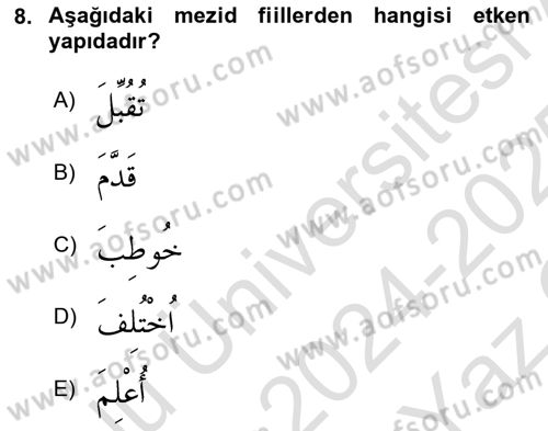 Arapça 3 Dersi 2024 - 2025 Yılı Yaz Okulu Sınav Soruları 8. Soru