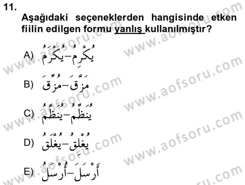 Arapça 3 Dersi 2025 - 2026 Yılı (Vize) Ara Sınav Soruları 11. Soru