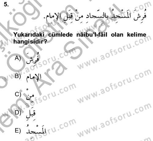 Arapça 3 Dersi 2025 - 2026 Yılı (Vize) Ara Sınav Soruları 5. Soru