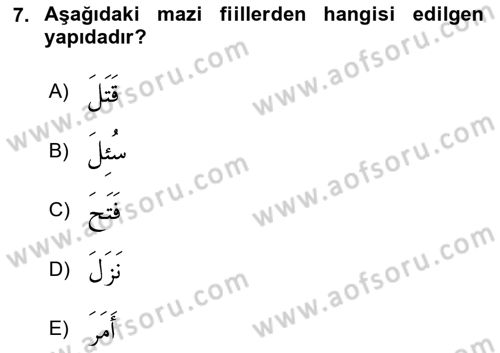 Arapça 3 Dersi 2025 - 2026 Yılı (Vize) Ara Sınav Soruları 7. Soru