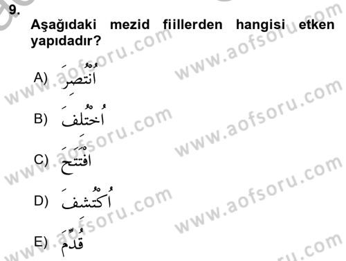 Arapça 3 Dersi 2025 - 2026 Yılı (Vize) Ara Sınav Soruları 9. Soru