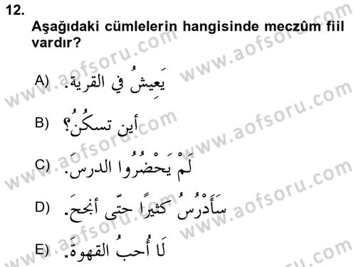 Arapça 3 Dersi 2025 - 2026 Yılı (Final) Dönem Sonu Sınav Soruları 12. Soru