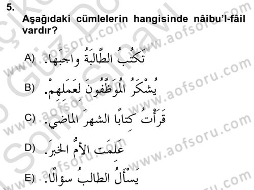 Arapça 3 Dersi 2025 - 2026 Yılı (Final) Dönem Sonu Sınav Soruları 5. Soru
