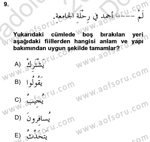 Arapça 3 Dersi 2025 - 2026 Yılı (Final) Dönem Sonu Sınav Soruları 9. Soru